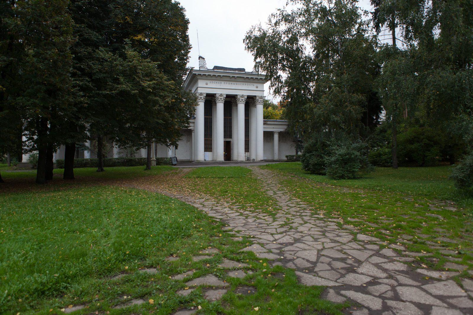 Галерея Лес